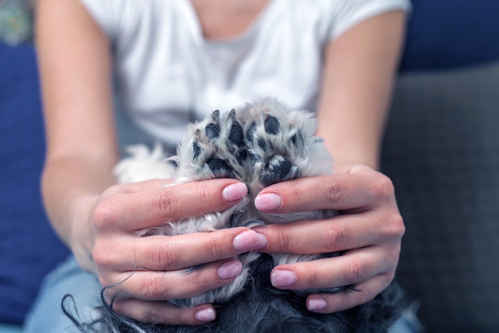 Woman holding up her small dog's paws