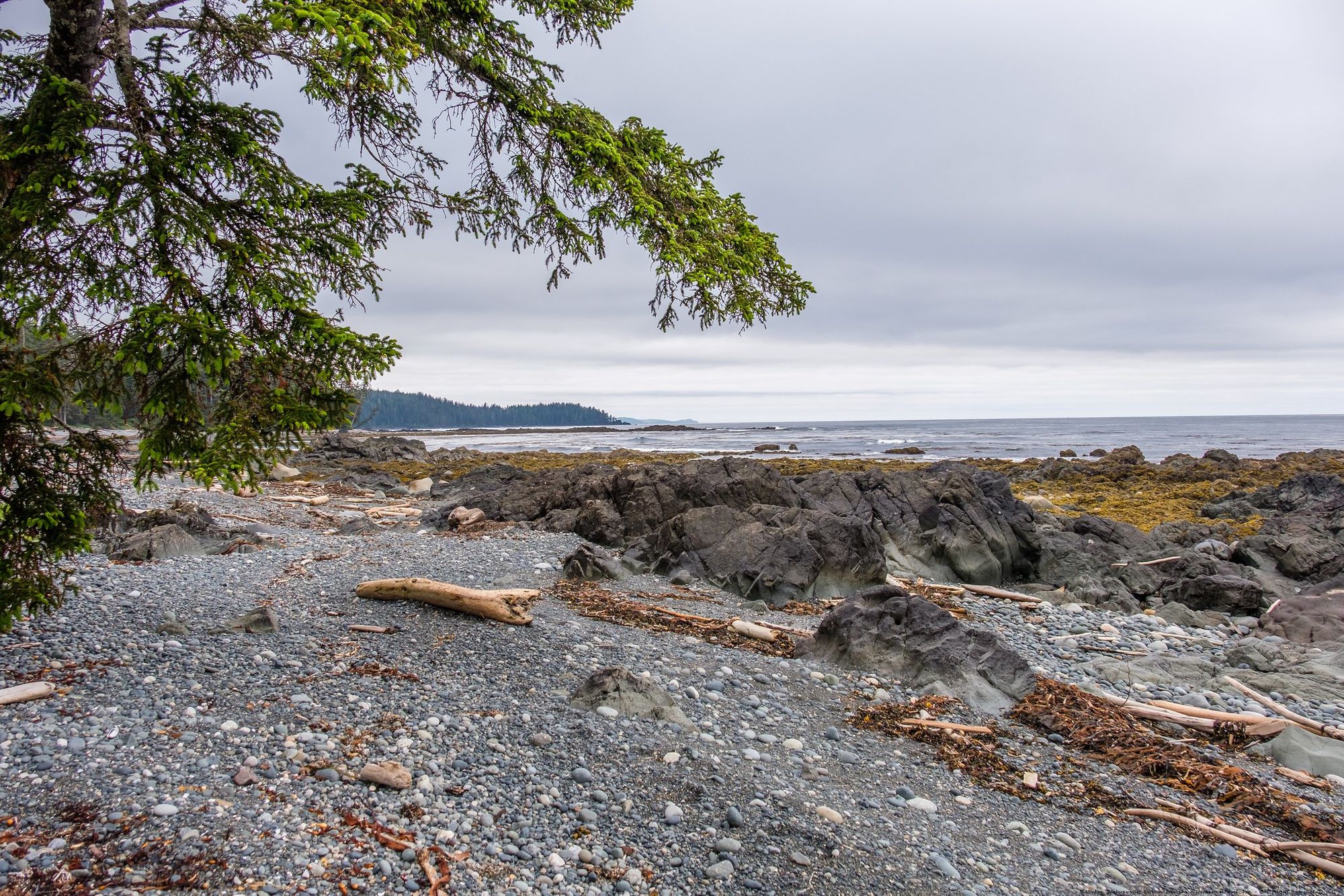 Lawsuit aims to prevent oil and gas drilling off coast of North Island