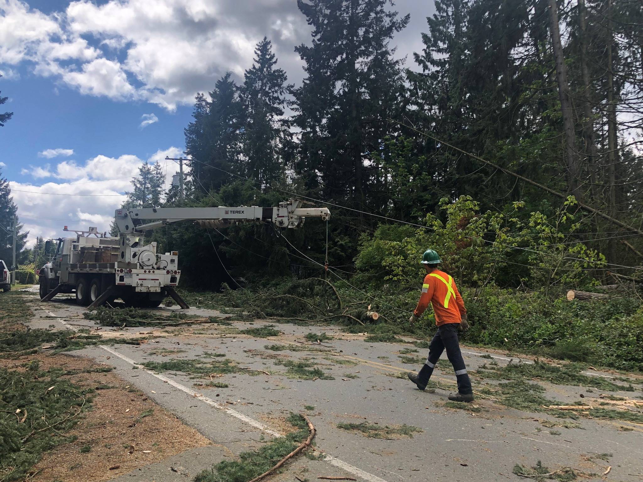 As storm season arrives, prepare for power outages, BC Hydro warns