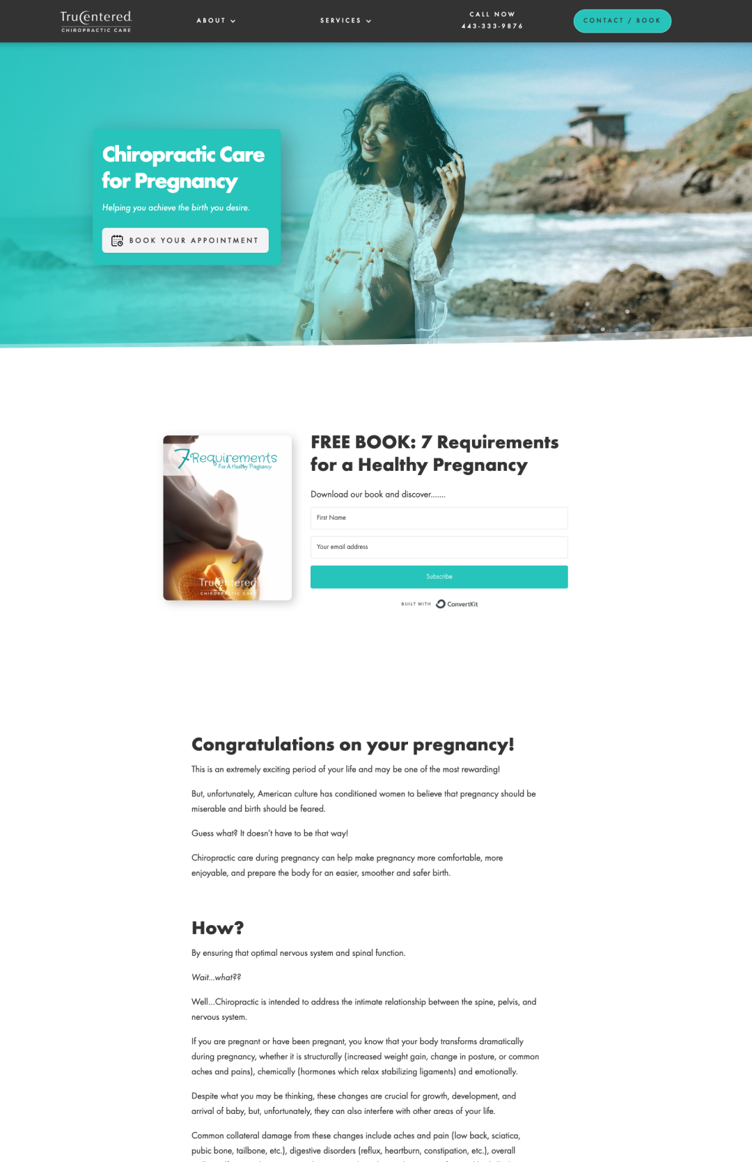 screenshot of website project