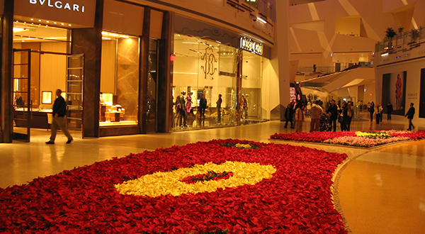 Red and white flowers on the ground inside in front of storefronts