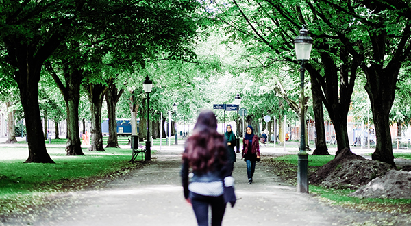 Woman walking through tree-lined path in a park