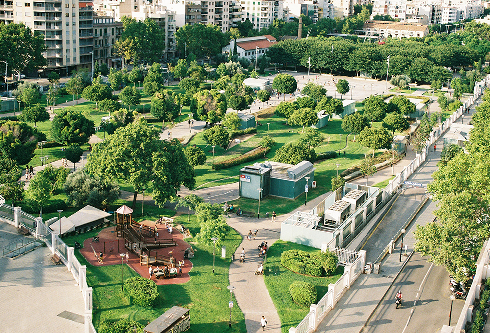 Park with trees next to dense urban environment