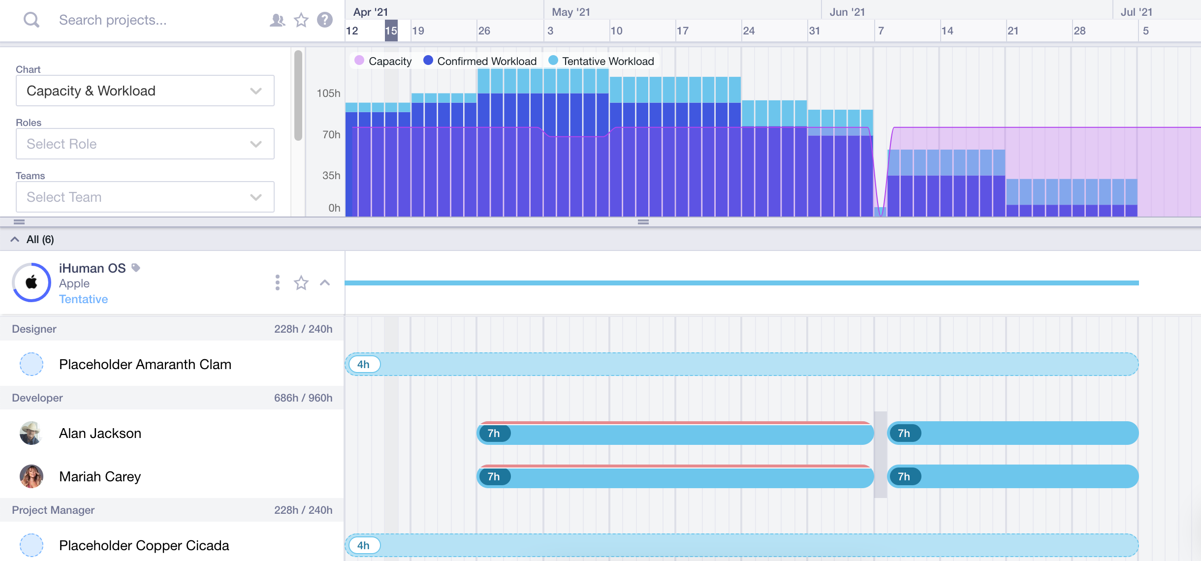 Tentative project with capacity chart