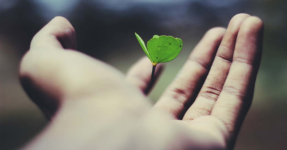 How to Advertise For Life Insurance Leads | SparrowBoost