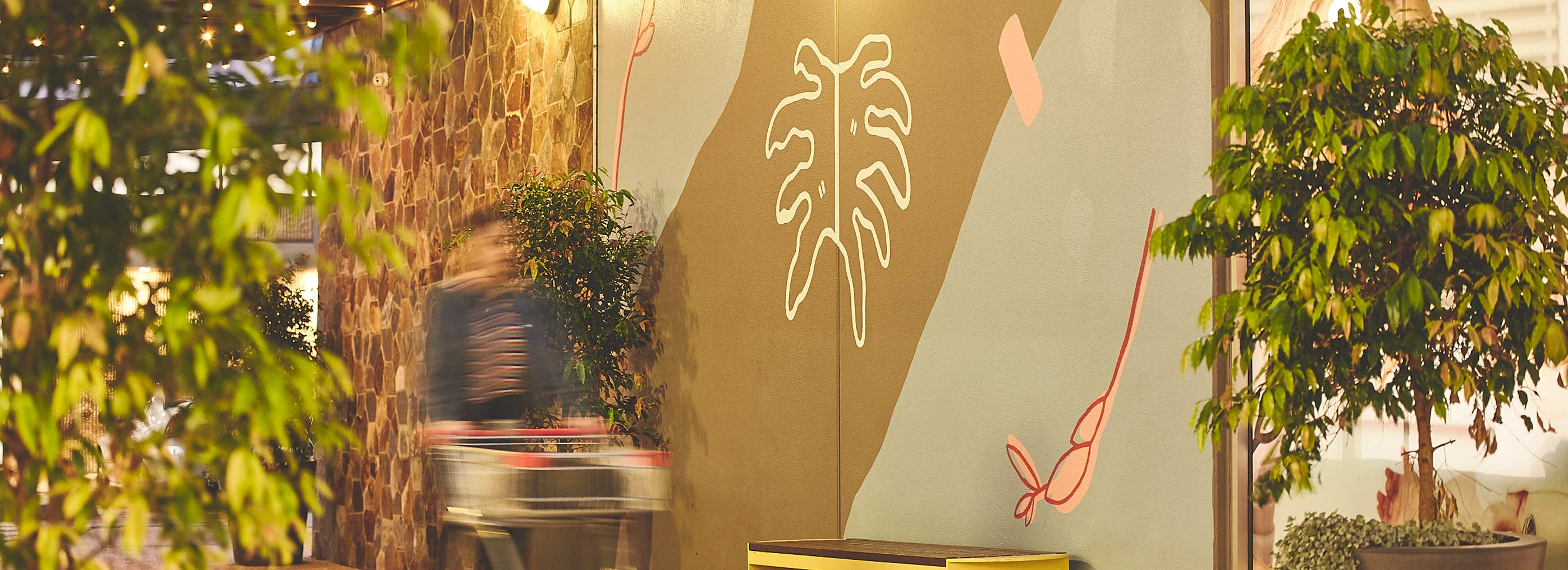 Lynbrook Village Shopping Centre