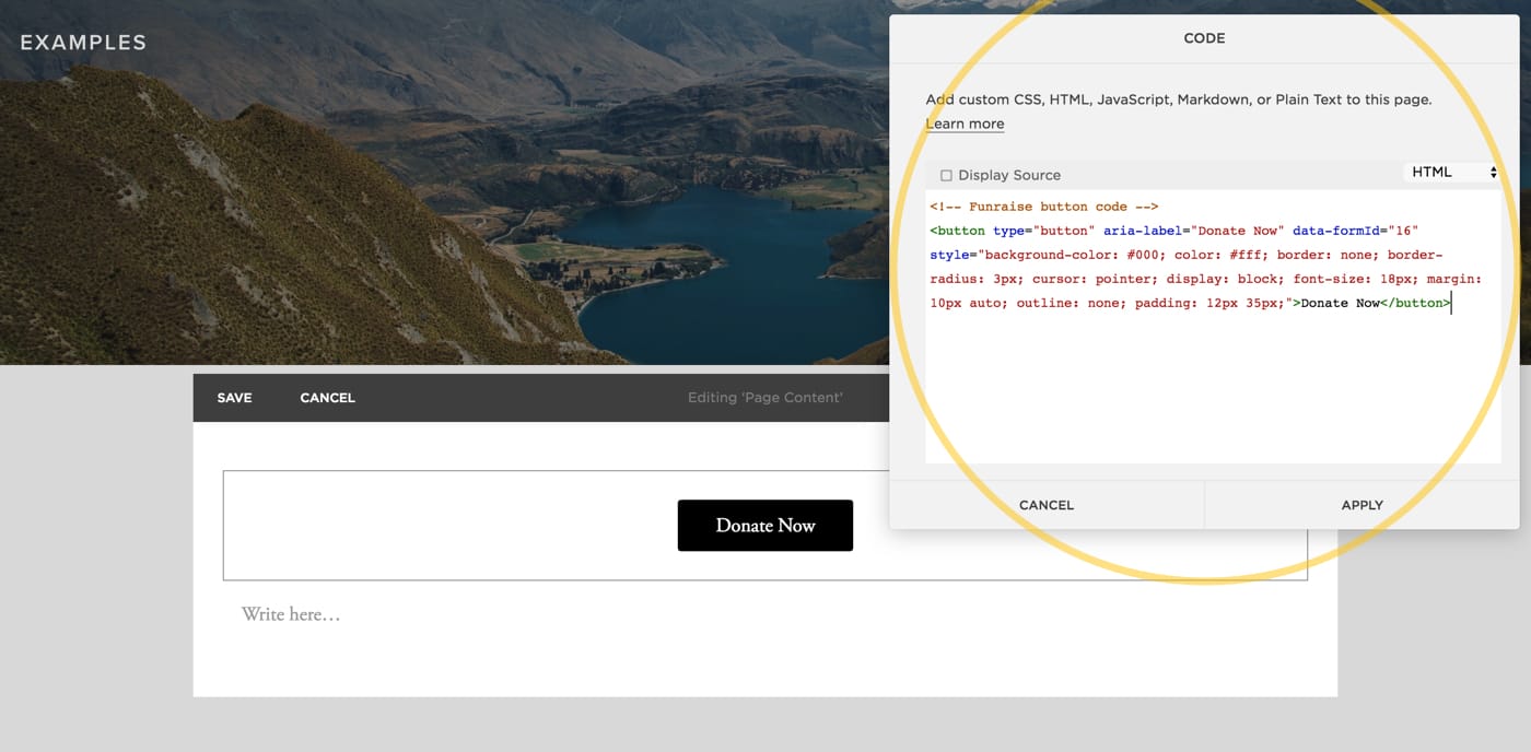 Screenshot of a Squarespace page with the Code section blown up and highlighted.