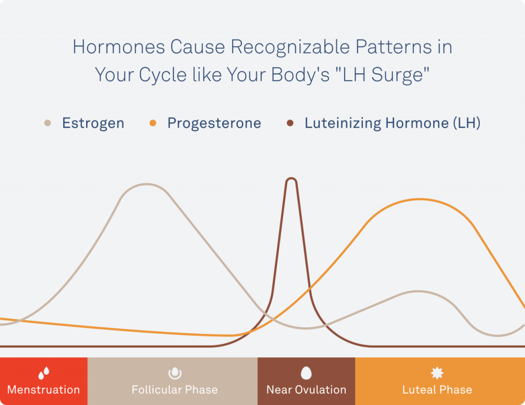 Oura ring hormones