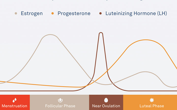 oura ring hormonal data