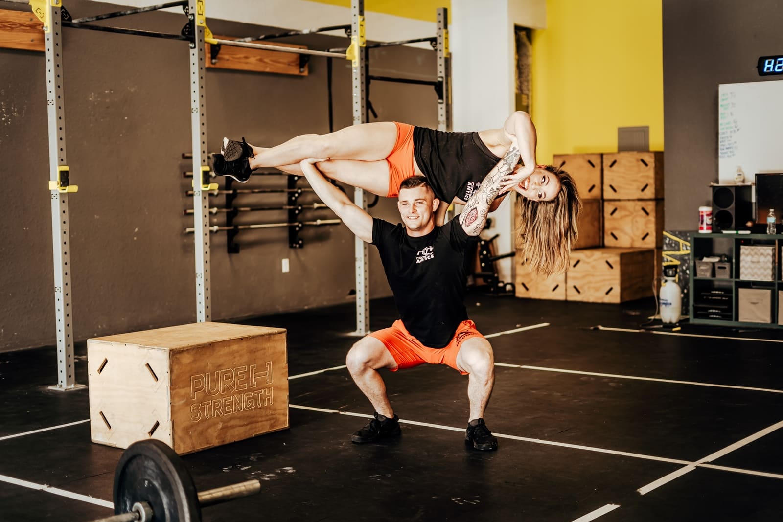 Case study antics 03 image