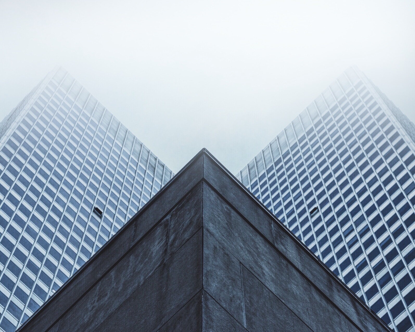 brand building and content monetization