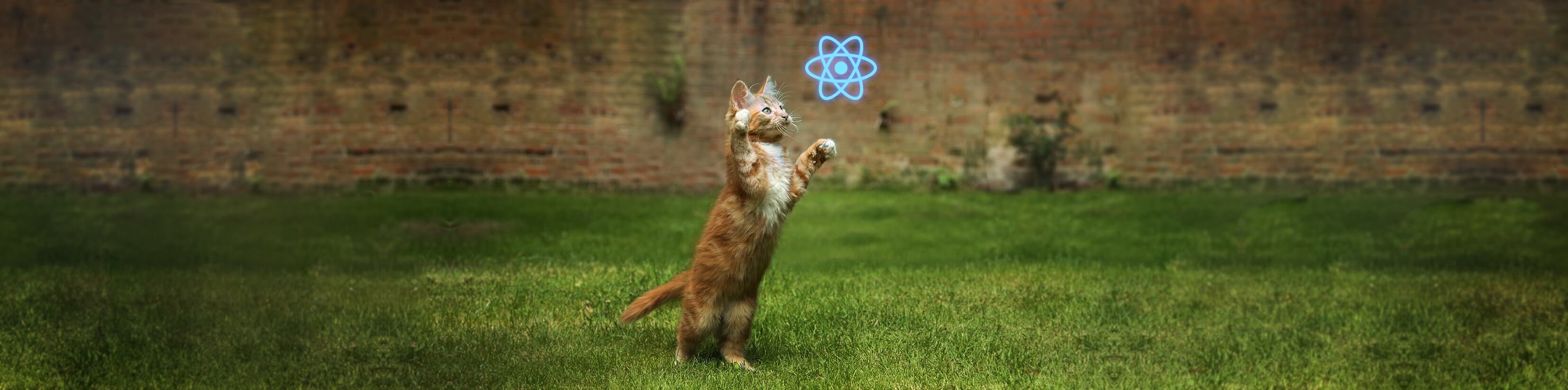 React Native UI Kitten