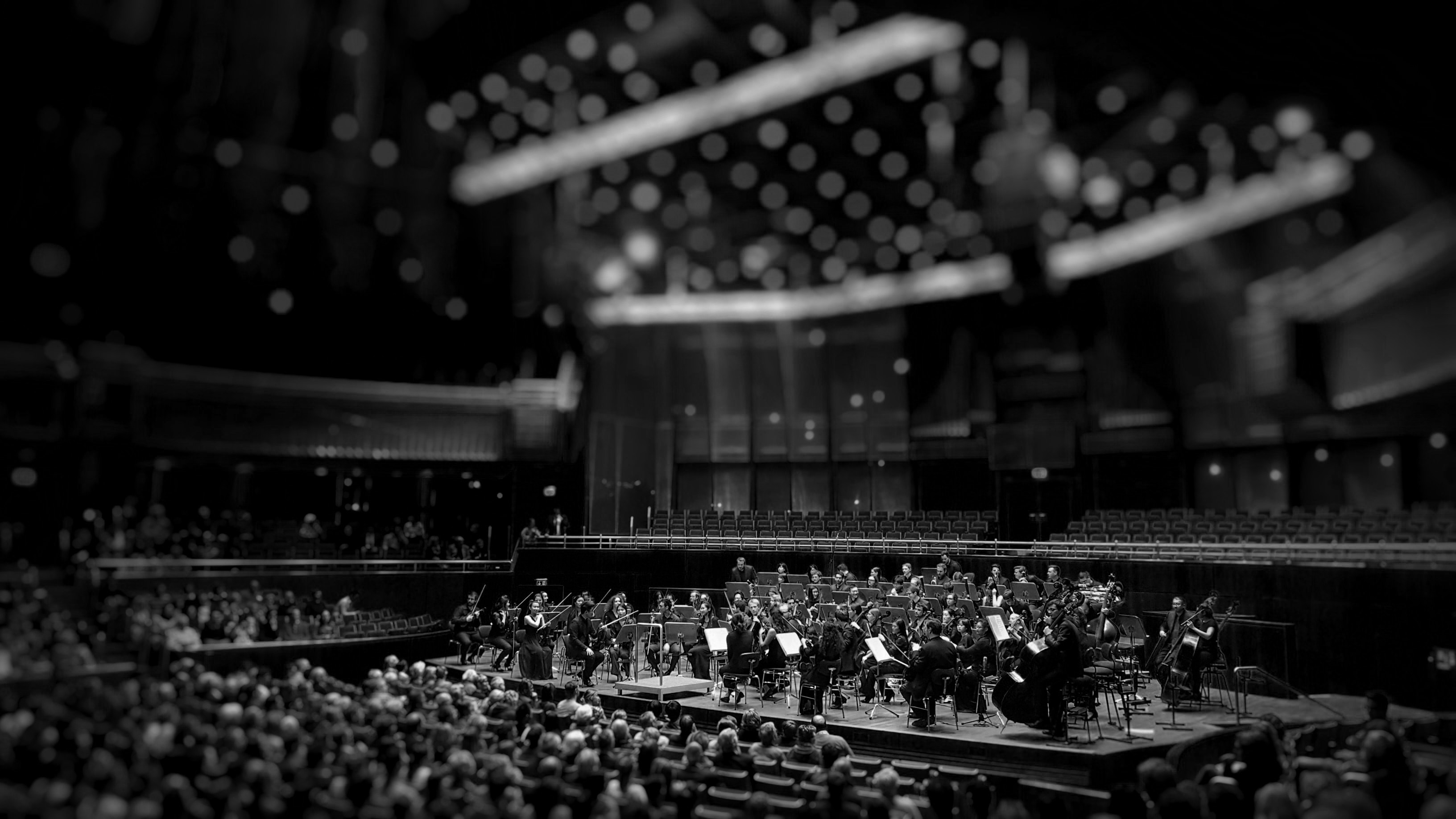 Orchestra playing on stage with blurry background