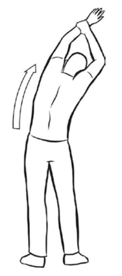 side bends