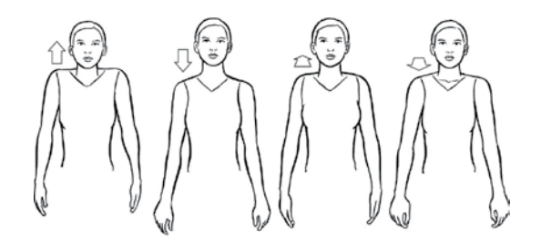 shoulder raises