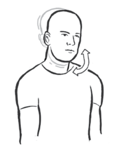 Head twist