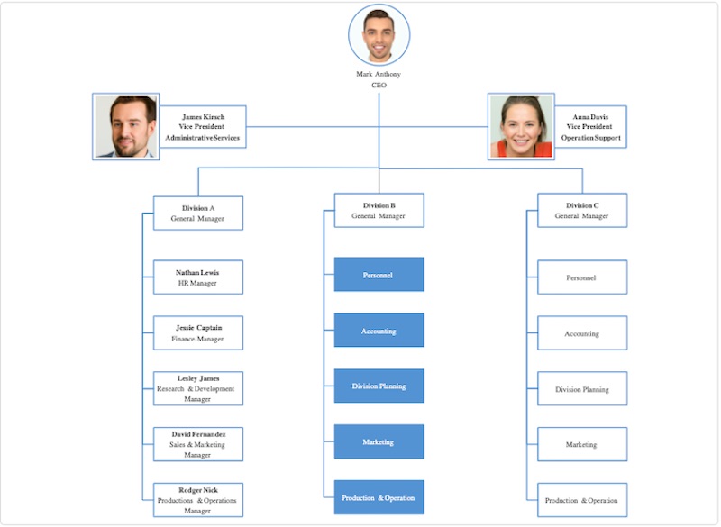 An organizational chart by division
