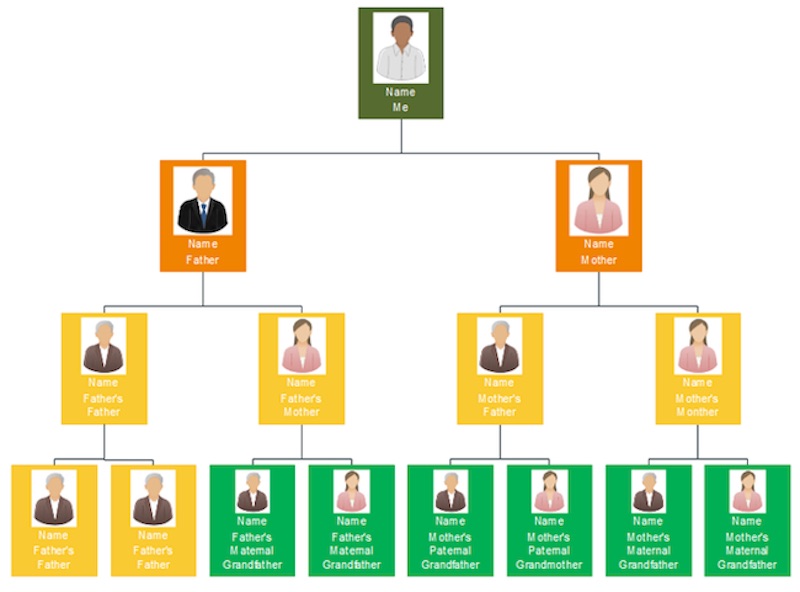 An example of a functional organization chart