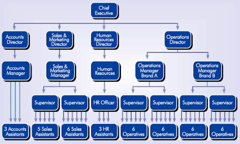Sygenta's organizational structure in matrix form