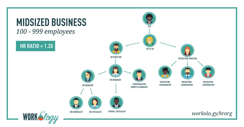 An example of a mid-size organizational structure chart