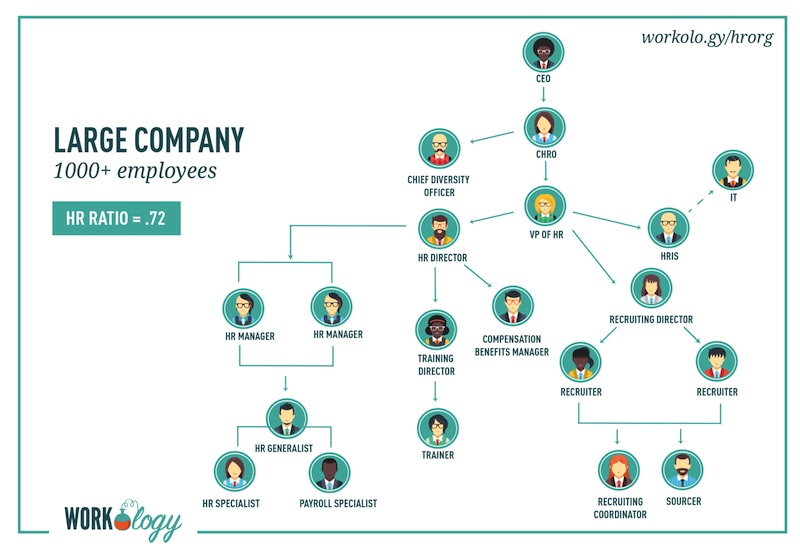 An example of a large-size organizational chart