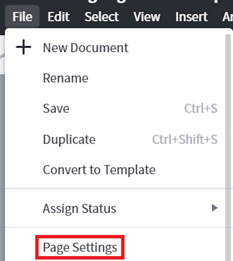 Lucidchart page settings
