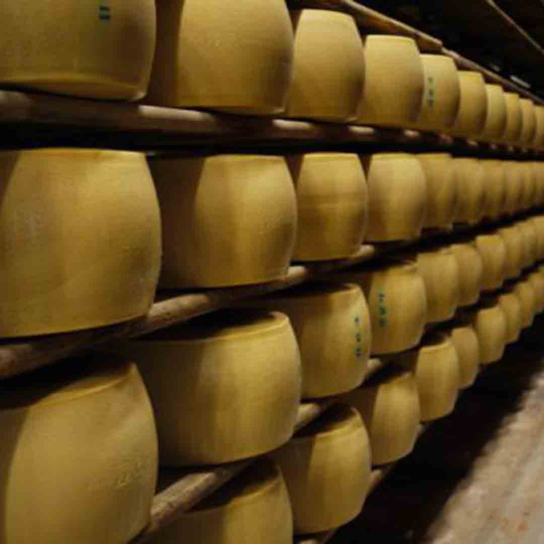 Parmesan Factory and Balsamic Vinegar Factory Day Trip (Modena) for