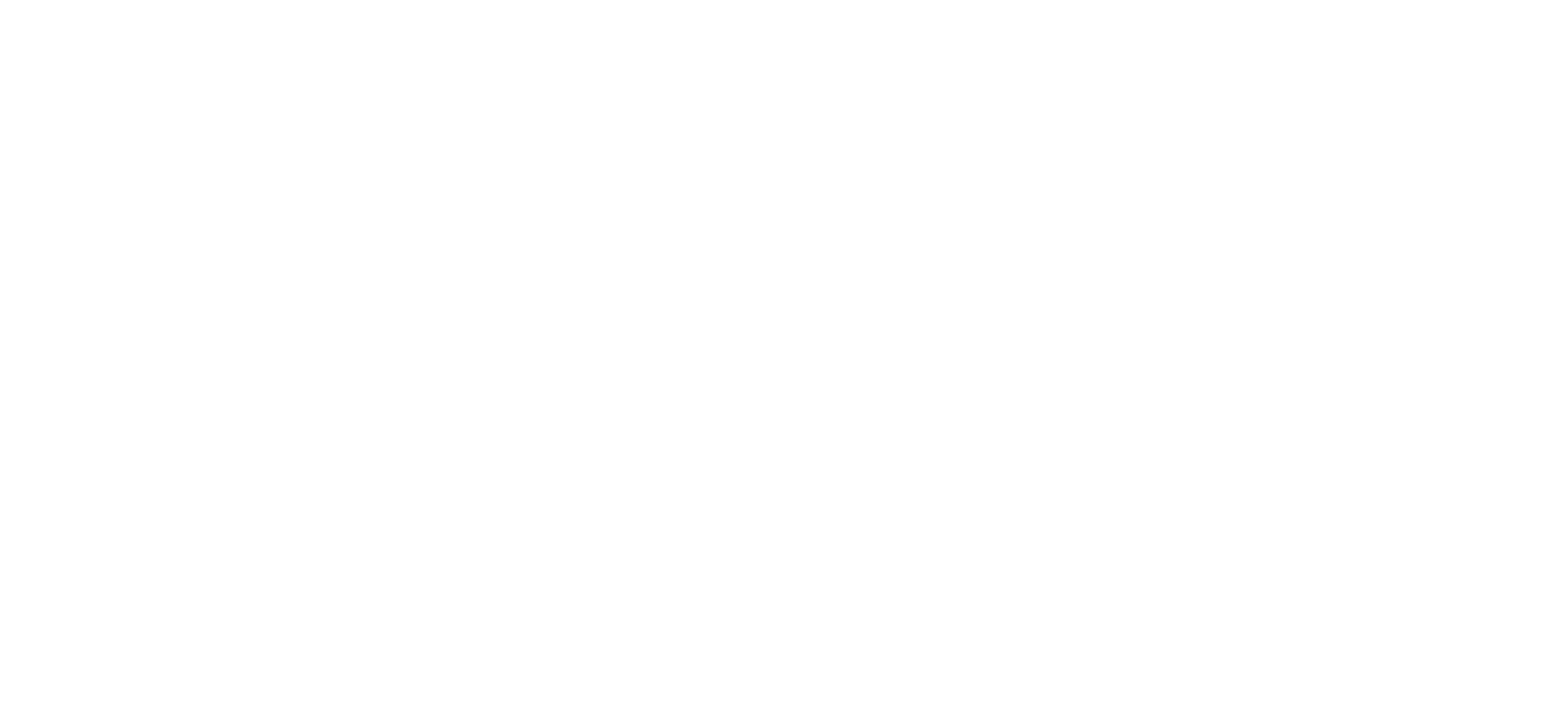 Enspira logo white