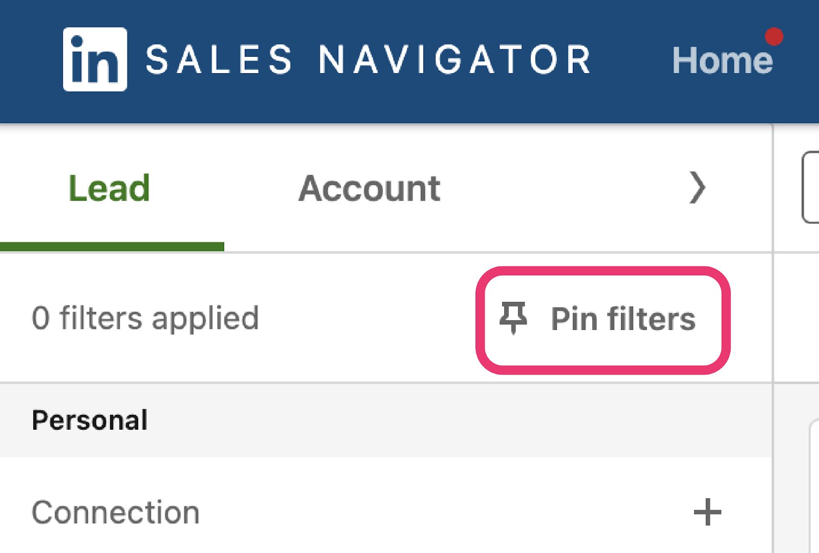 Pin FIlters for Sales Navigator Lead