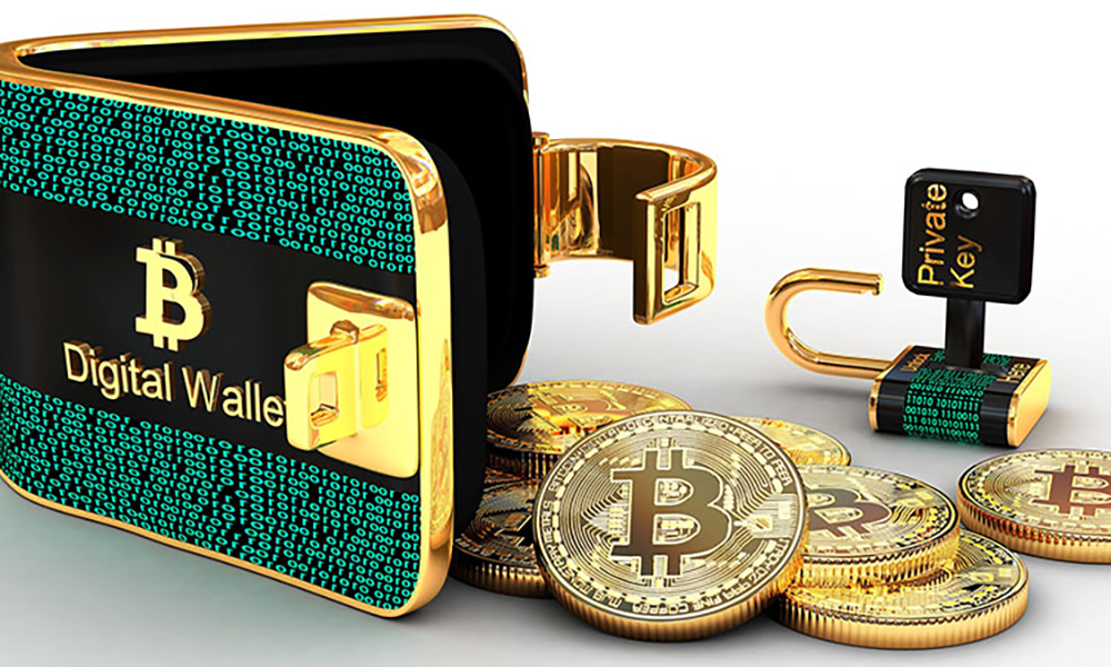Bitcoins Wallets Bitcoins Wallets