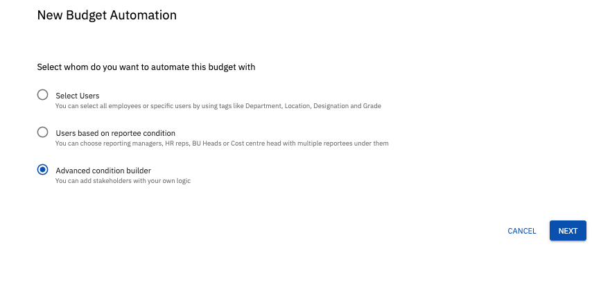 Advanced condition builder in budget automation