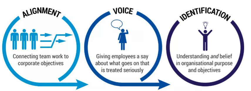 alignment and voice leads to identification