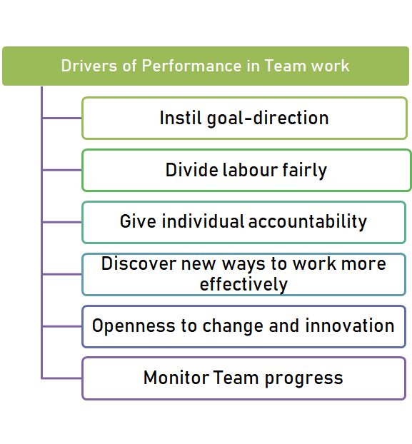 Drivers of Performance in Team work