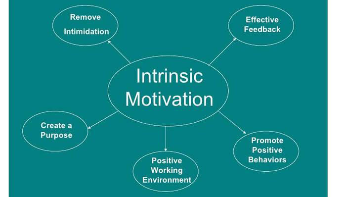 Goals of Intrinsic Motivation