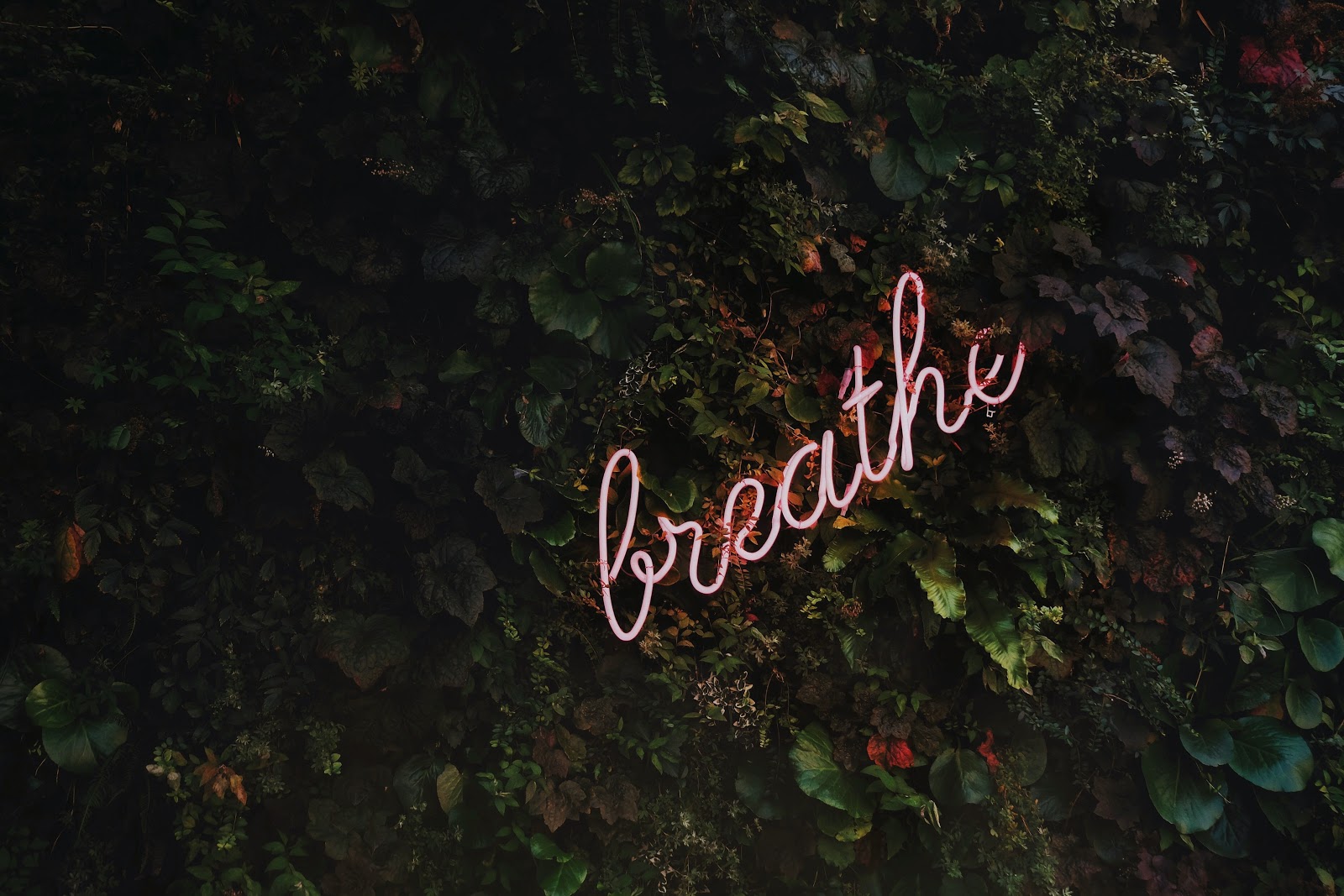 Source: Unsplash