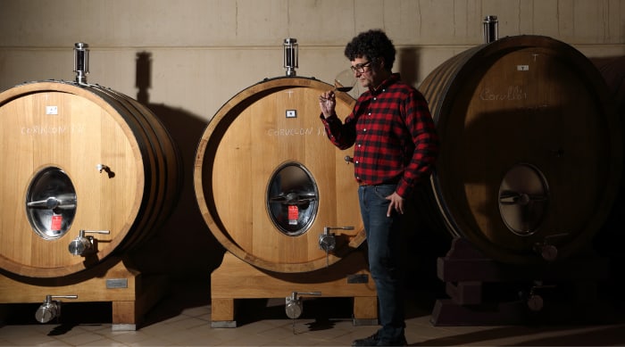 Denominación de origen: the Spanish wine classification system