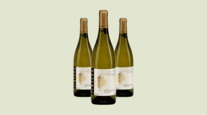 sparkling wine: Elvio Tintero Sori Gramella Moscato d’Asti 2015