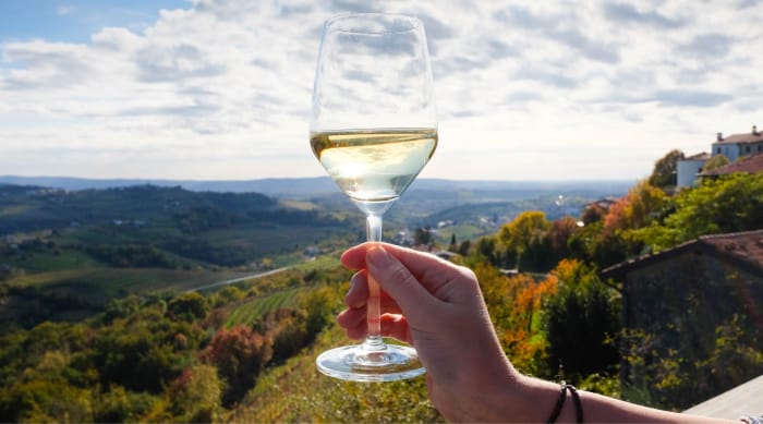 What Kind Of Wine Is White Wine?