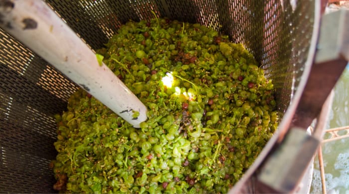 How Is White Wine Made?
