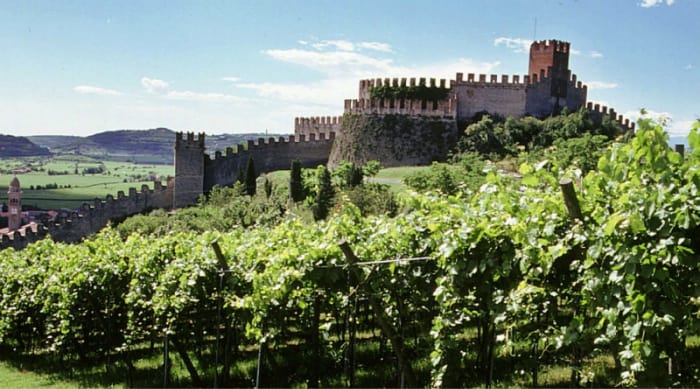 The Valpolicella Wine Region