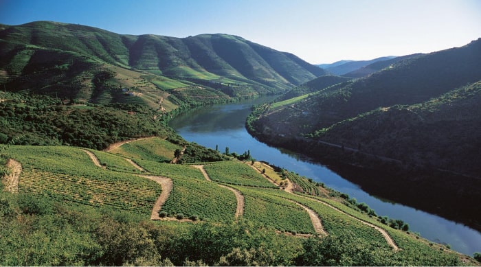 Port Wine Regions