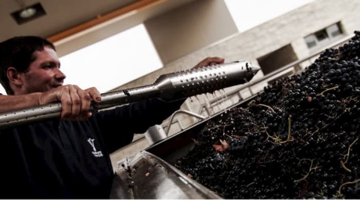 How Is Port Wine Made?