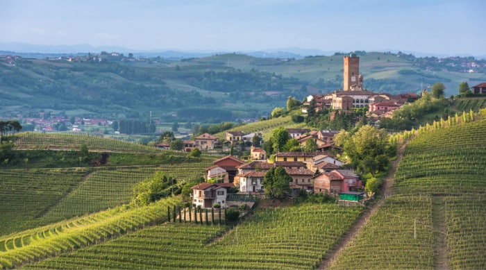 A Brief History of Barbaresco Winemaking
