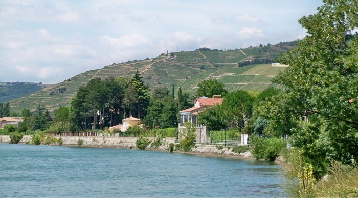 Cotes du Rhone wine: All You Need to Know about Cotes du Rhône