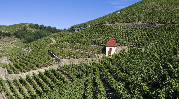 Cotes du Rhone wine: Côte Rôtie