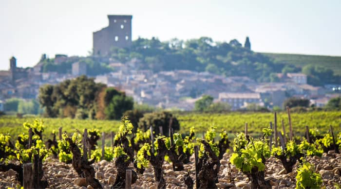Cotes du Rhone wine: Châteauneuf-du-Pape