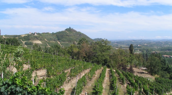 Terroir of Piedmont