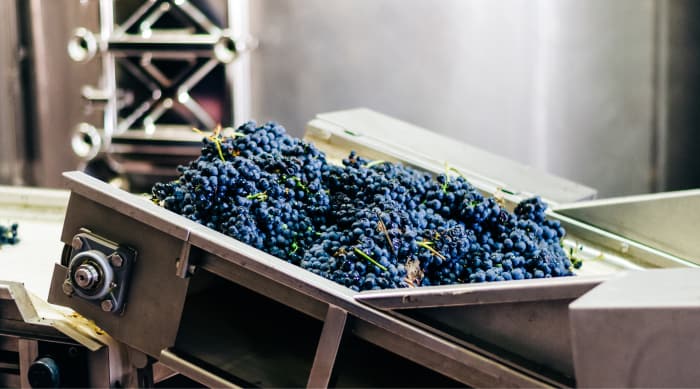 How is a Montrachet wine made?