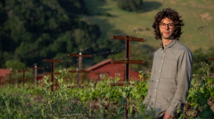 Varietals and viticulture