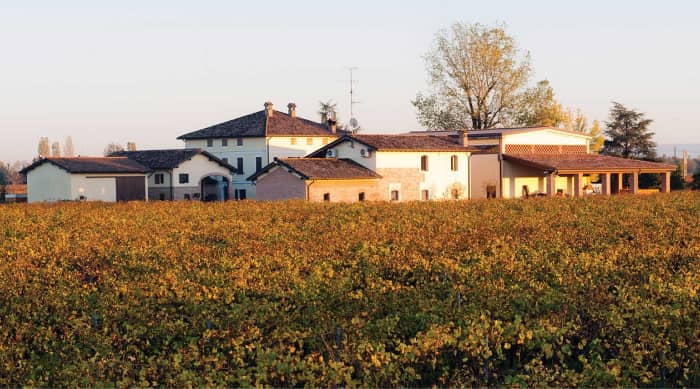 The five Lambrusco DOC wine regions